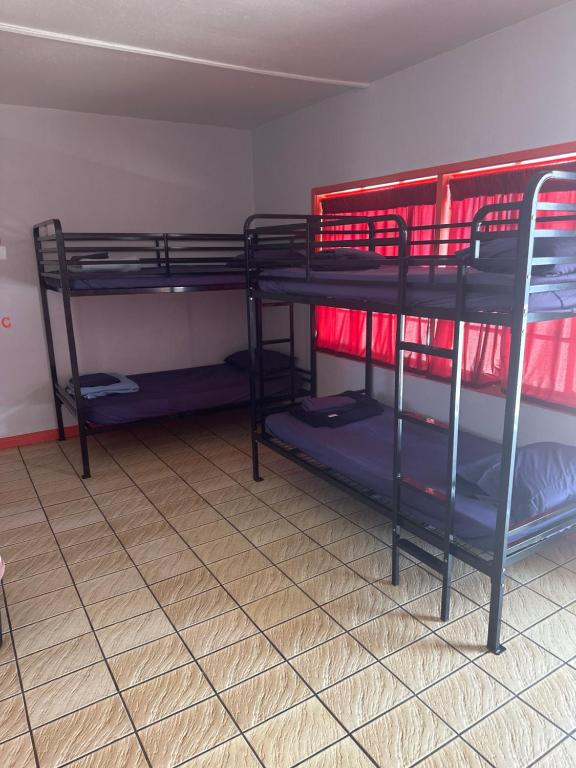 Sin City Hostel客房内的一张或多张床位