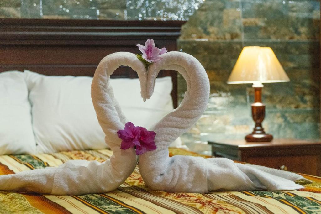 奥塔瓦洛Hospedaje Cabaña Familiar的两条毛巾,形状像天鹅,坐在床上