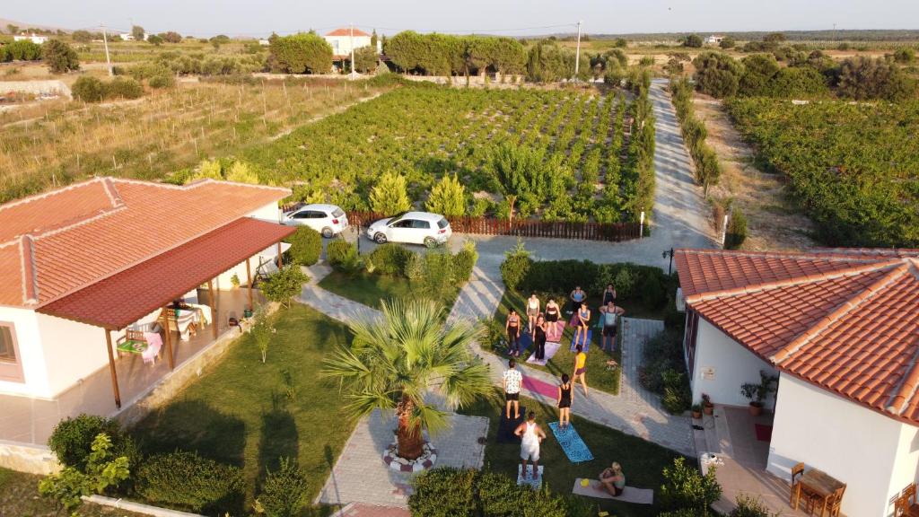 博兹贾阿达岛Karina Vineyard House的一群人站在院子里别墅的空中景色