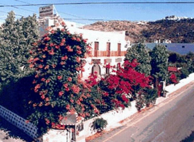 斯科拉Villa Zacharo的一条树木繁茂的街道和一座红花建筑