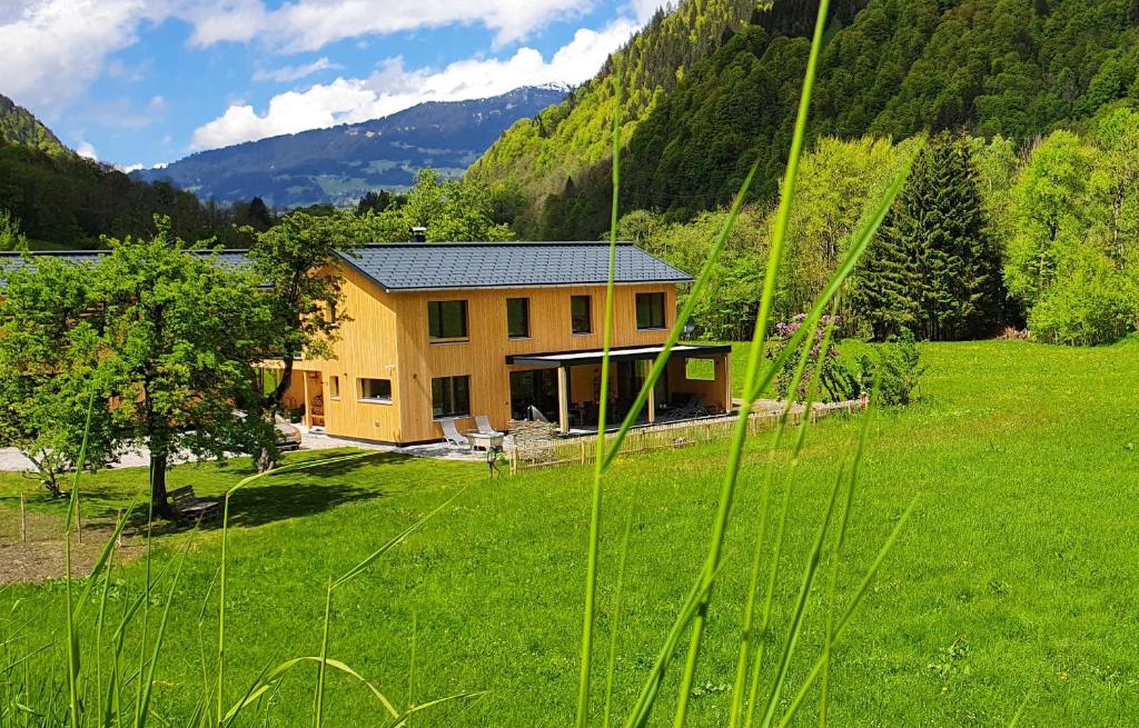 GalgenulHaus Valtellina的绿色田野中间的房子