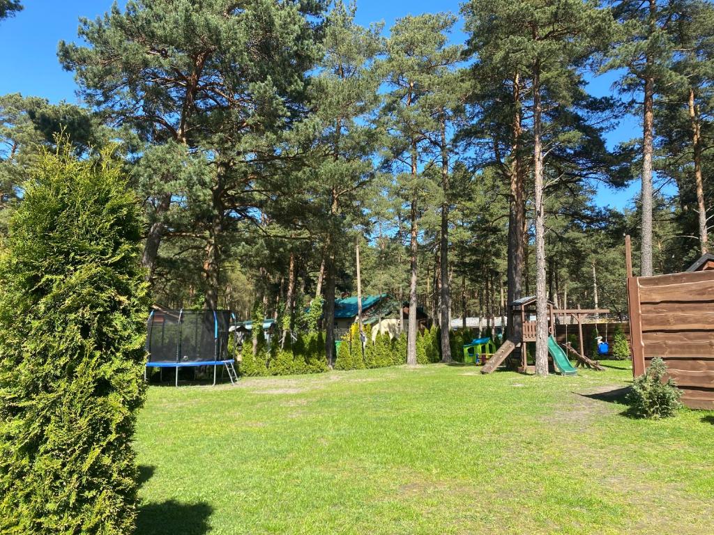 文茨皮尔斯Silumetras的一座公园,公园内有游乐场和树木