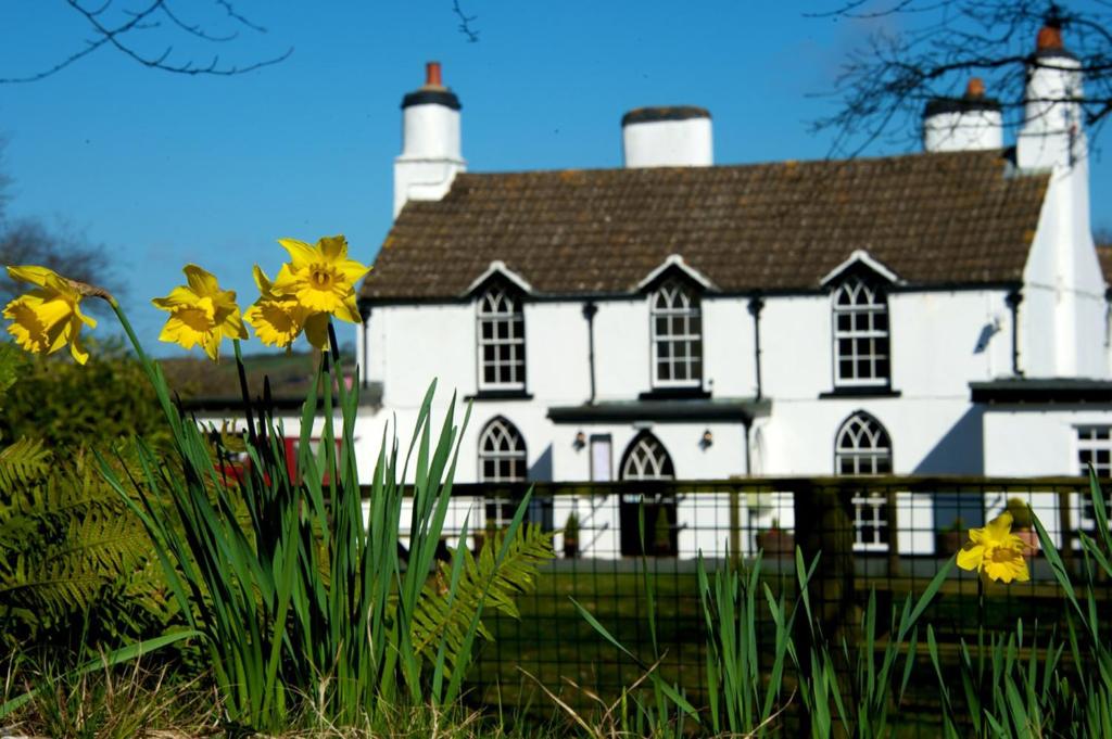 马诺比尔Tudor Lodge Bed & Breakfast的前面有黄色花的白色房子
