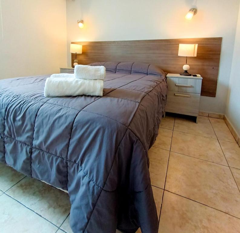 圣胡安Hotel Estrella Andina的一间卧室配有一张大床和两个枕头