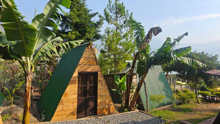 圣胡安拉拉古纳Glamping El Pájarero的一座带绿色屋顶的小型木制建筑