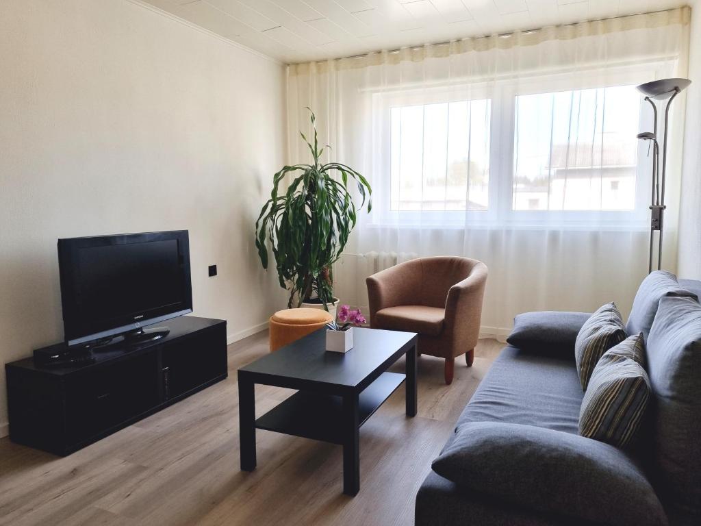 赖皮纳Räpina Apartment的带沙发和电视的客厅