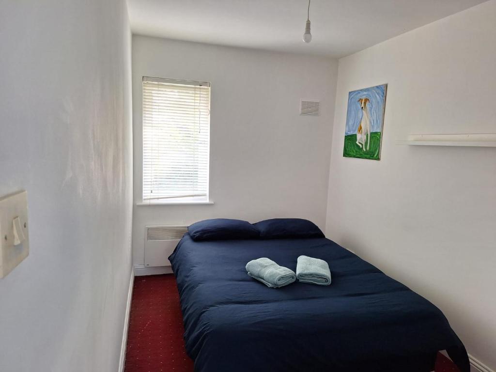 都柏林Double Room Clontarf House-3的一间卧室设有蓝色的床和窗户。