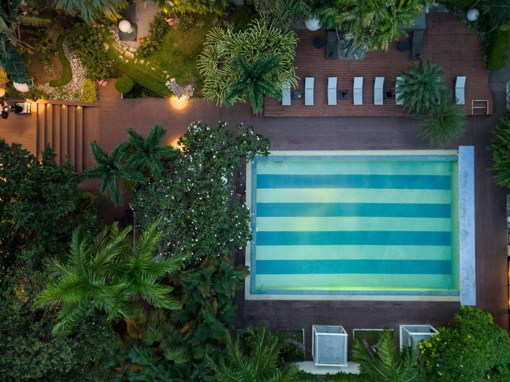 阿比让阿比让诺富特酒店的享有棕榈树游泳池的顶部景致