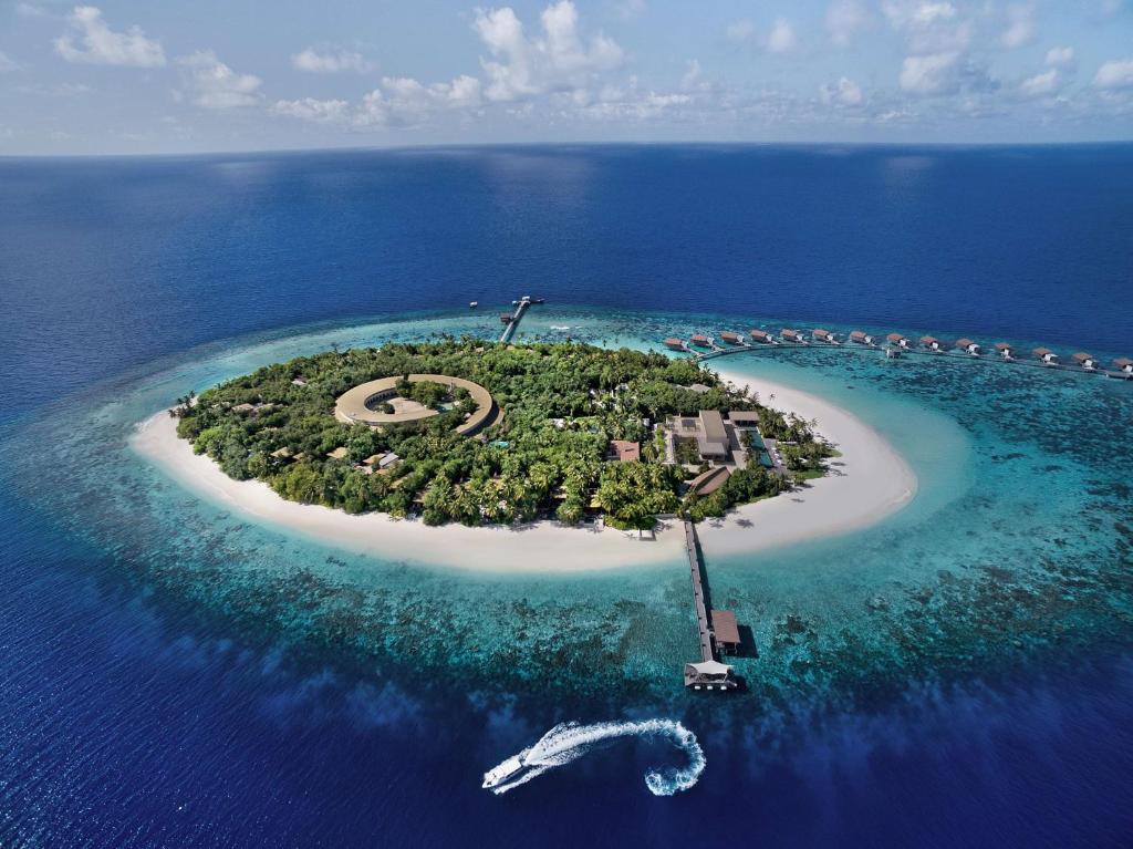 加弗阿利夫环礁马尔代夫柏悦酒店的海洋中的一个岛屿
