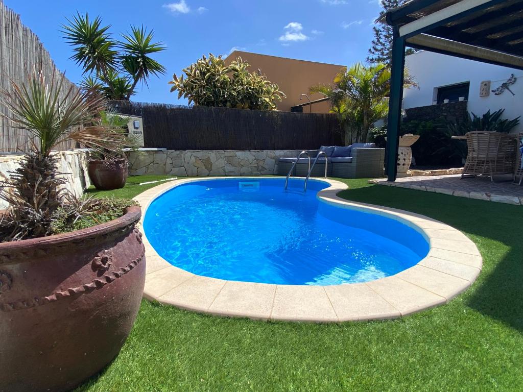 科拉雷侯Casa Rosalía的庭院里的小型游泳池
