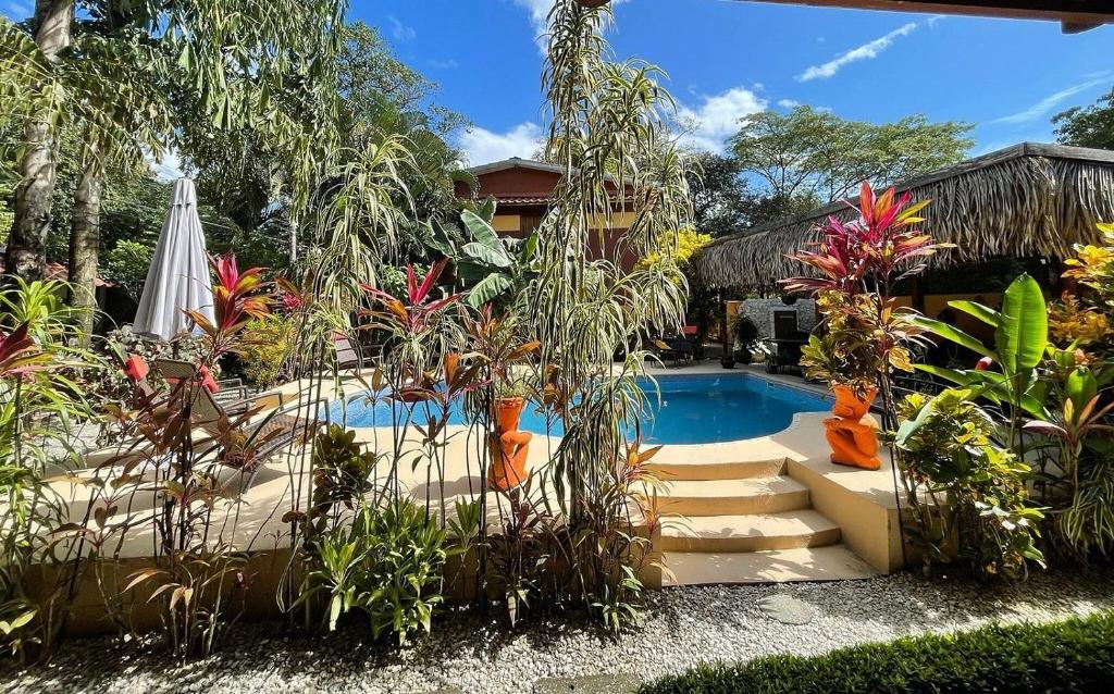 萨玛拉Samara Palm Lodge的一个带游泳池和一些植物的花园