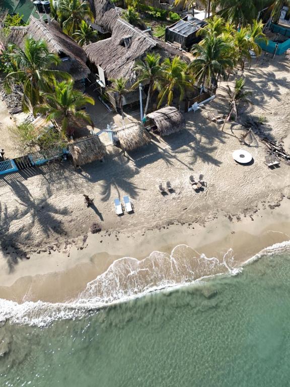 San OnofrePalenque Beach House的享有棕榈树海滩和大海的上方景色