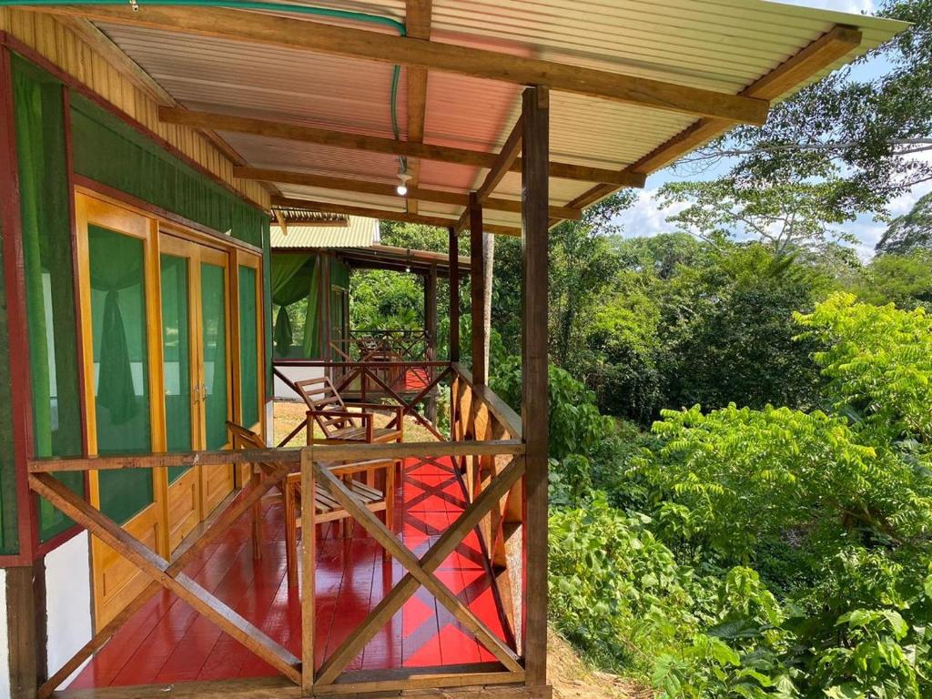 莱蒂西亚Amazon Açaí Lodge的遮蔽门廊,屋顶