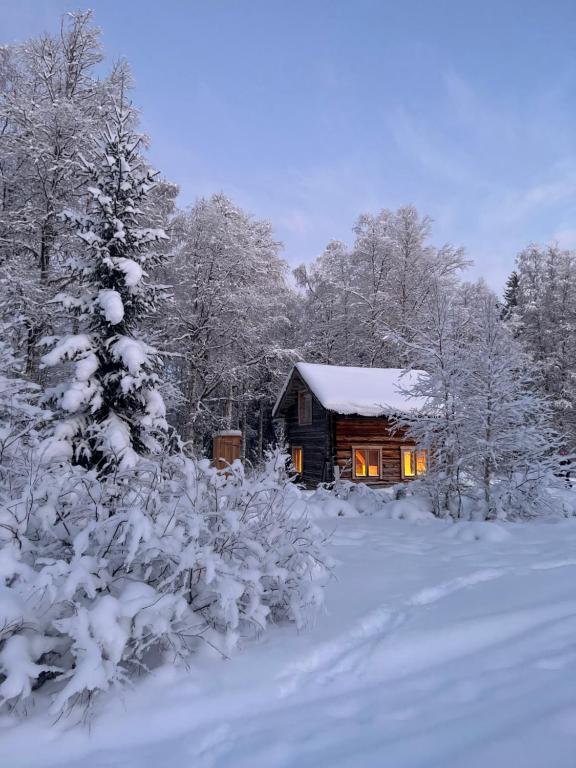 JörnGemütliche Blockhütte mit Außentoilette und Badezimmer im Haupthaus的雪地里的小木屋,有树