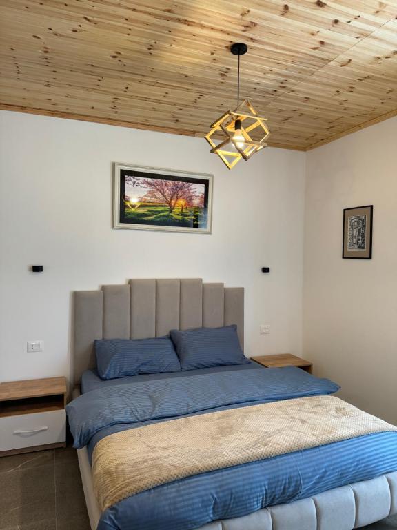 斯库台Qyteza Guest House & Camping的一间卧室配有一张蓝色床单和天花板