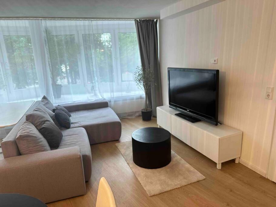 杜塞尔多夫Appartement DUS的带沙发和平面电视的客厅