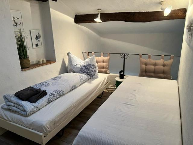 卡斯拉诺Caslano: 2.5 Zi-Dachwohnung im rustikalen-modernen Stil的双床间设有2张单人床。