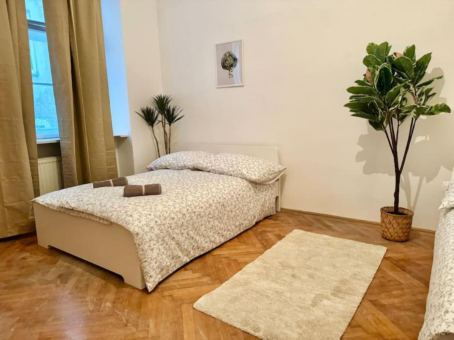 维也纳70 m2 Quiet & Calm Apartment with Free Parking的一间卧室配有一张床和盆栽植物