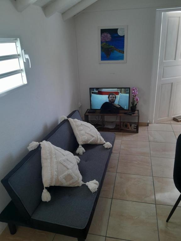 勒穆莱Séjour au calme的客厅配有带枕头的沙发和电视