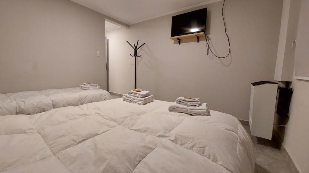 佩里托莫雷诺El viejo bar hotel的一间设有两张床铺和毛巾的房间