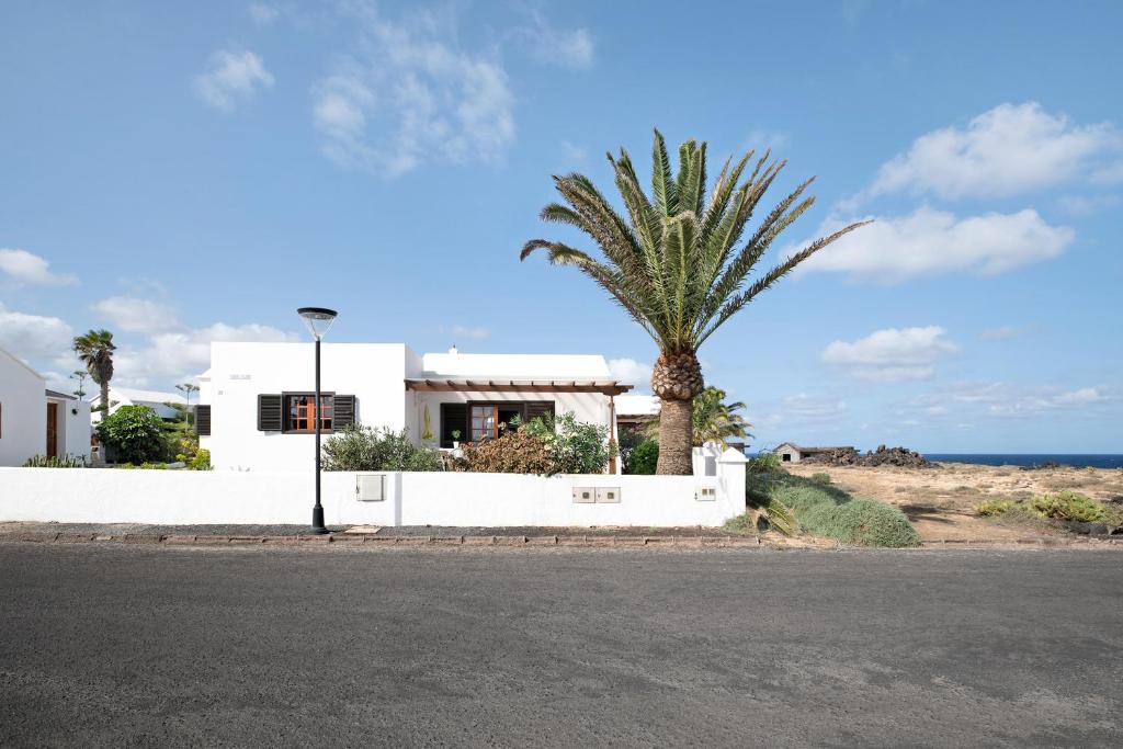阿里亚Casa Aloe的棕榈树和大海的白色房子