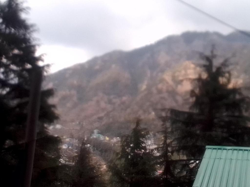 达兰萨拉Himalayan Beautiful Mountain View Hostel的享有山 ⁇ 和前景色