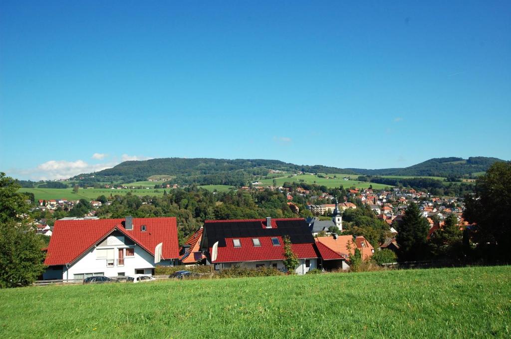 格尔斯费尔德Gästehaus Jäger Ferienwohnungen的绿色山丘上的一个红色屋顶村庄