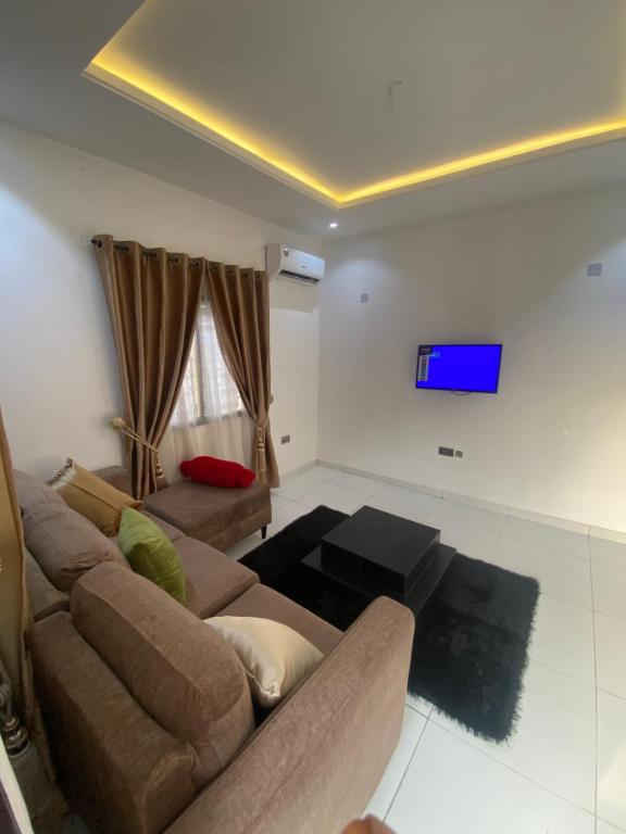阿布贾lnfinity Luxury Apartment的带沙发和电视的客厅