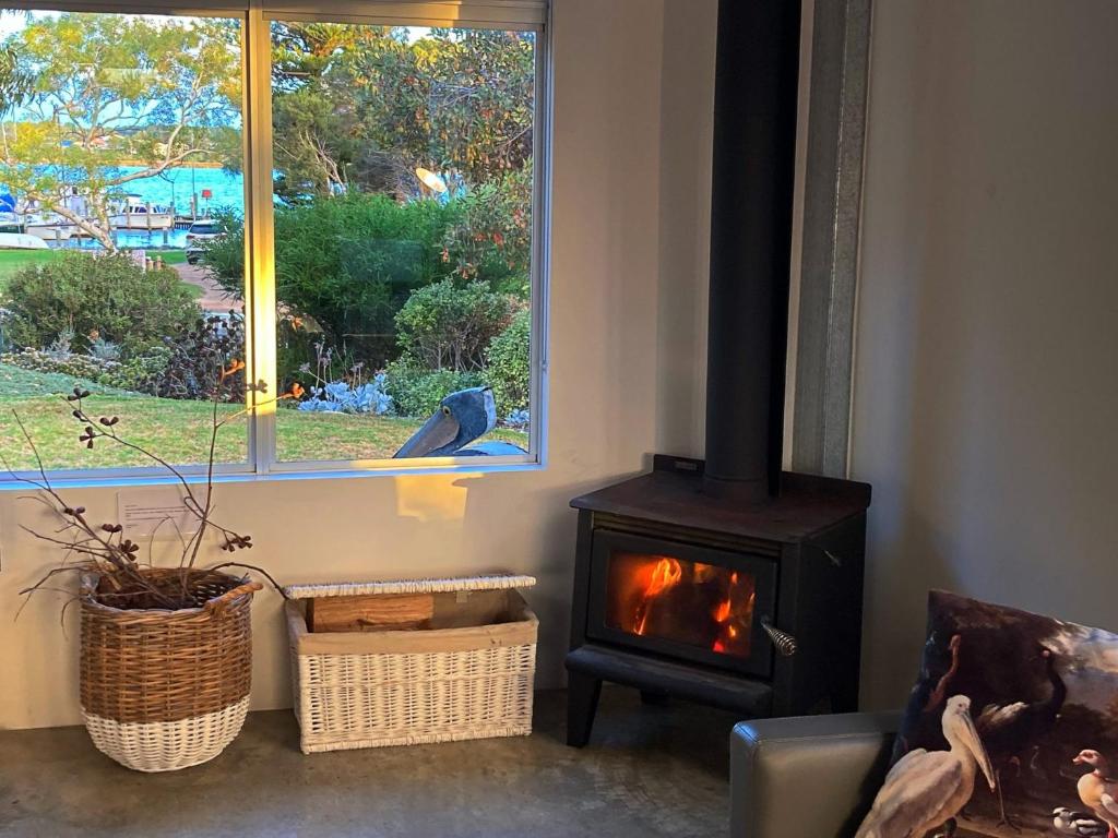 Goolwa NorthPelican Cottage - Pet Friendly - Wifi的客厅里的一个蓝色鸟儿,壁炉旁