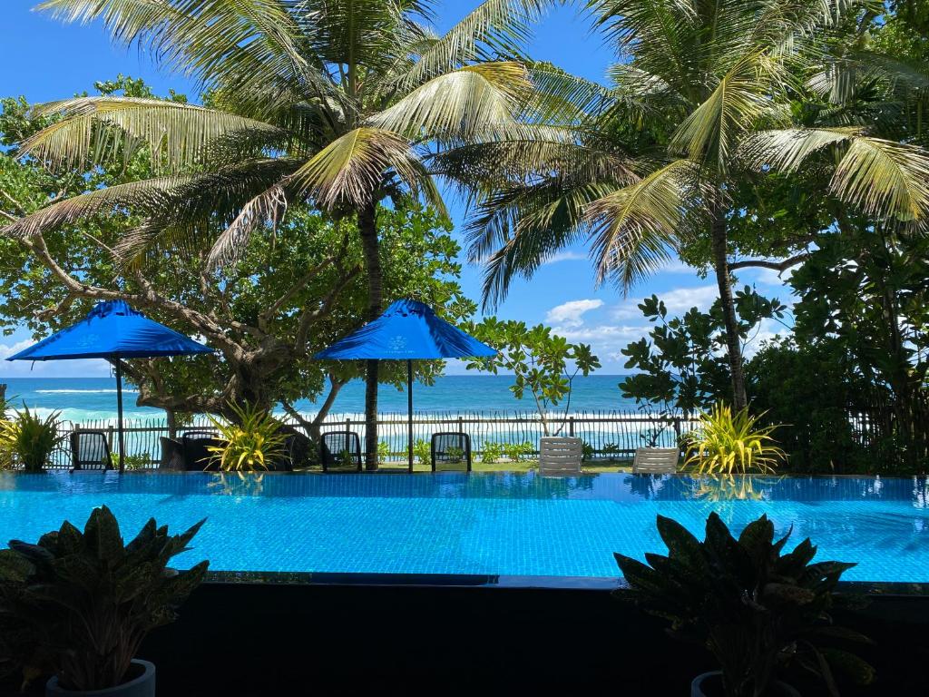 陶尔佩Royal Indigo Villa的一座棕榈树和海洋游泳池