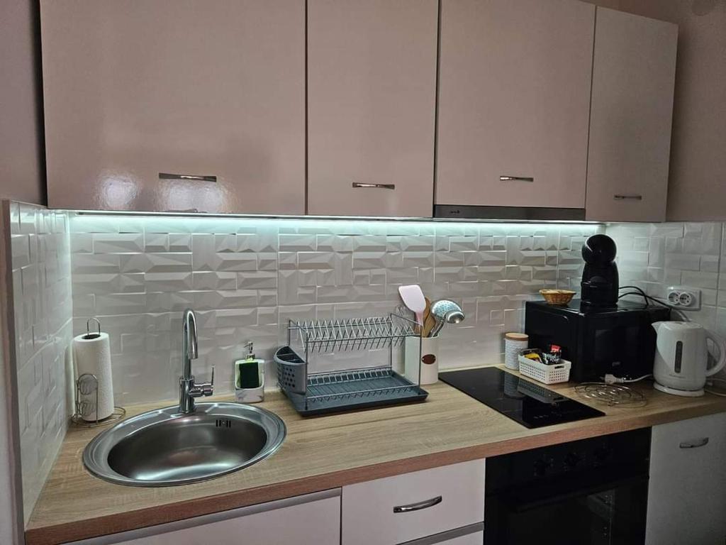 皮罗特Apartman Vukota 2 Pirot的厨房台面设有水槽和水槽