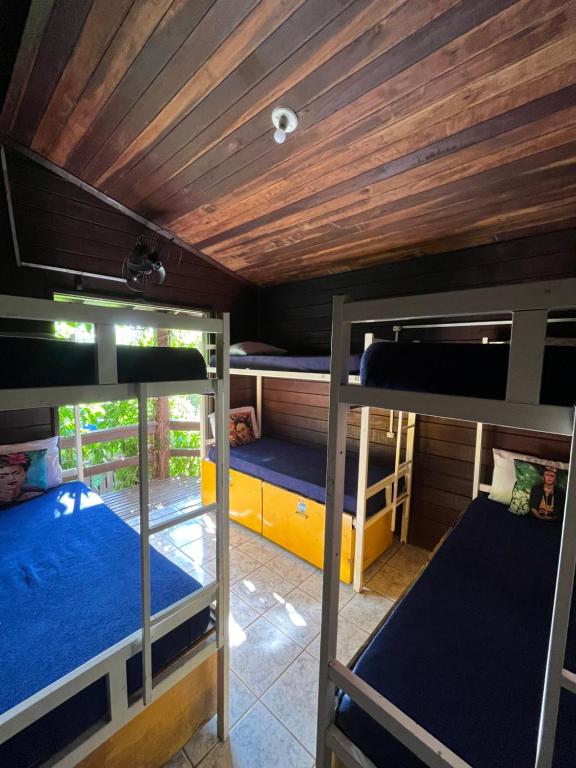 弗洛里亚诺波利斯Vibe House Hostel的配有木天花板的客房内的两张双层床