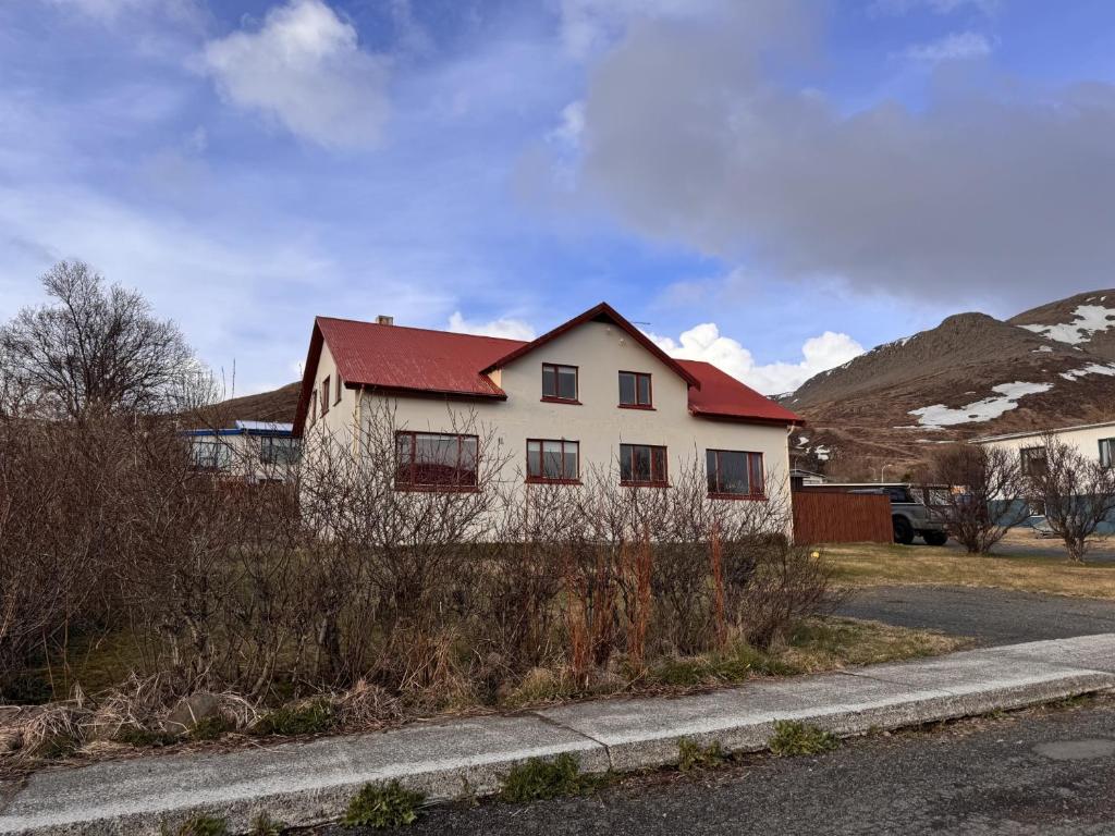 TalknafjordurGuesthouse Tálknafjörður的路边有红色屋顶的房子