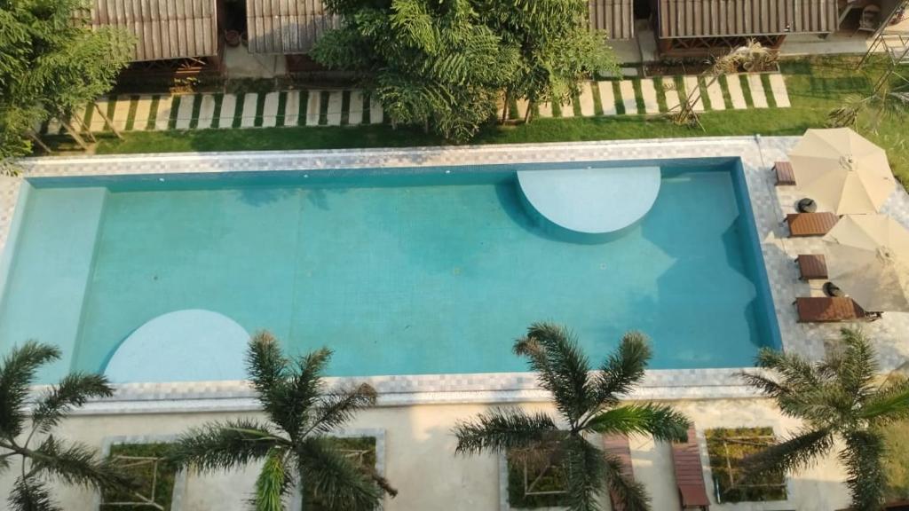 万荣Vang Vieng Bungalows的享有棕榈树游泳池的顶部景致