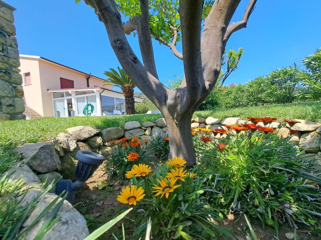 马西亚娜马里纳B&B Capo al Piano的一座花园,花园内种有树木,设有石墙