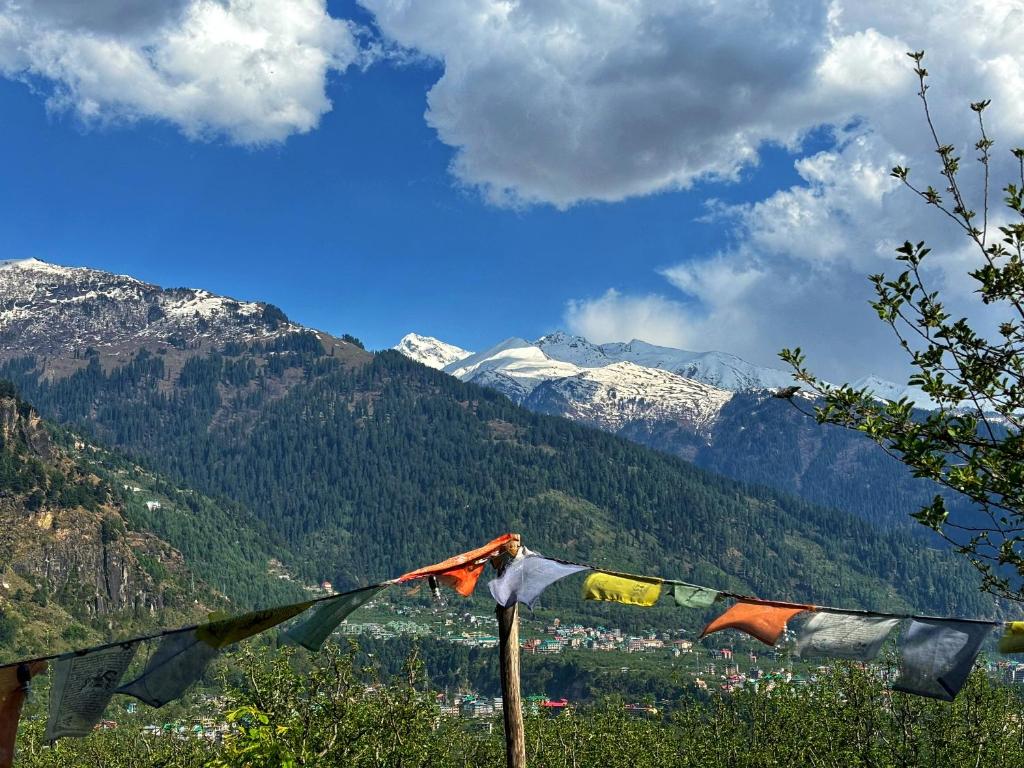 马拉里Kihala Homestay的悬挂在山上的一组祈祷旗