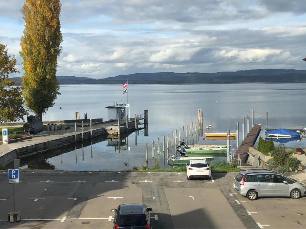 BerlingenFerienwohnung direkt am Bodensee / Untersee nahe Konstanz的停泊在码头的一大片水中,汽车停泊在码头上