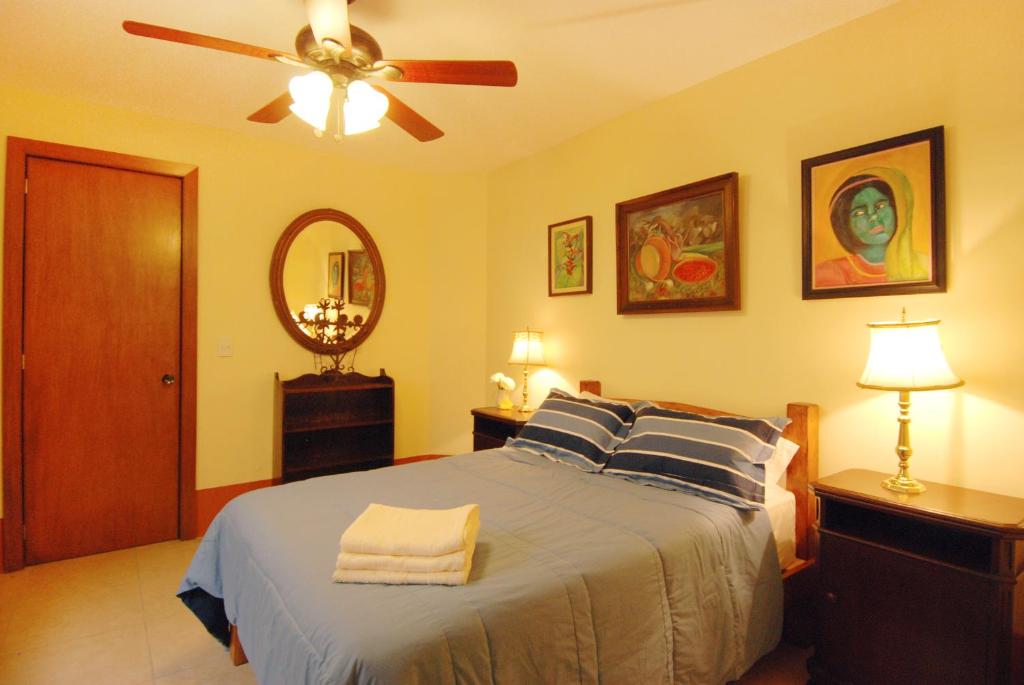 瓜达拉哈拉奥尔加格瑞达B&B旅馆的一间卧室配有一张带吊扇和镜子的床