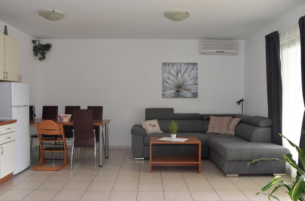 奇茲希Apartmani Andrea的客厅配有沙发和桌子