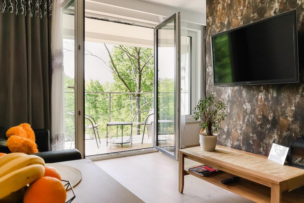 克拉科夫Strumienna Apartament的客厅设有壁挂式平面电视。