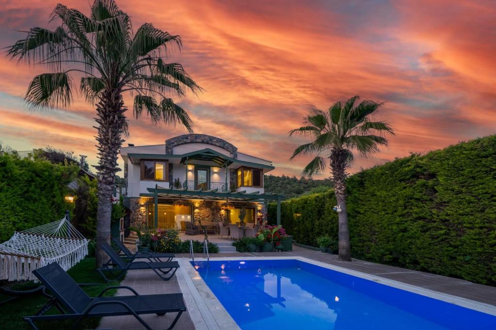 卡亚克特拉卡亚别墅的一座带游泳池和棕榈树的房子
