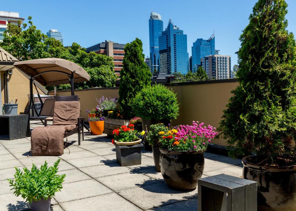 温哥华HI Vancouver Downtown - Hostel的一座种有盆栽植物的庭院,享有城市天际线