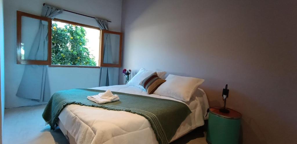 科洛尼亚卡罗亚casa de campo, Bodega Di Candi的一间卧室设有一张大床和窗户