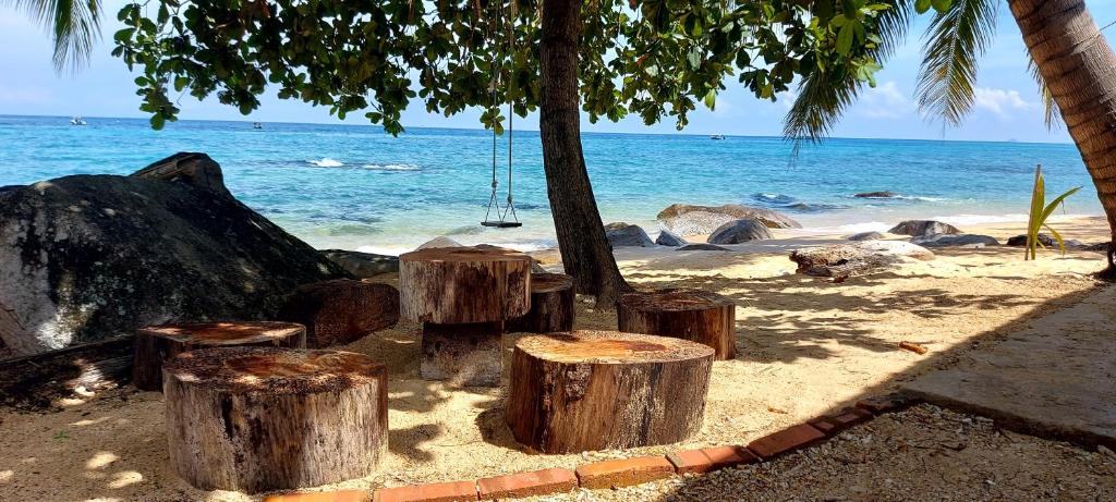 刁曼岛Home Away Tioman Island的一群树 ⁇ 坐在海滩上