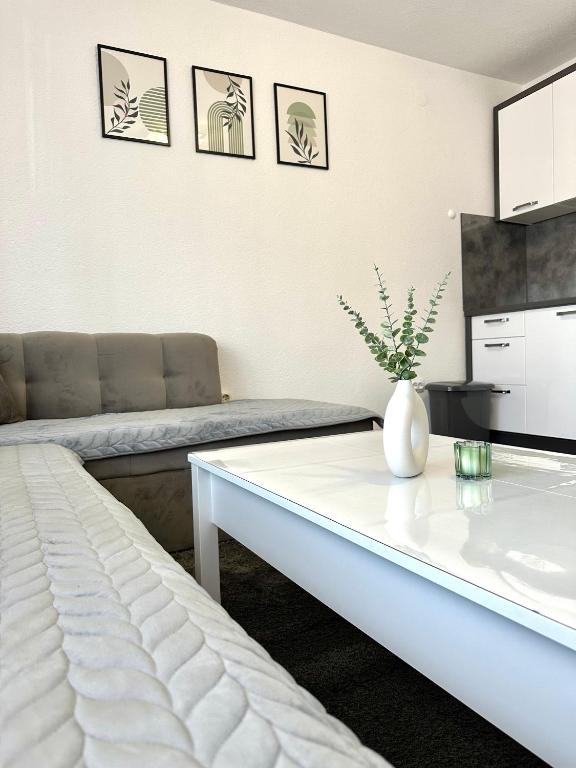 拉克塔希Apartman Lara Laktasi的带沙发和咖啡桌的客厅