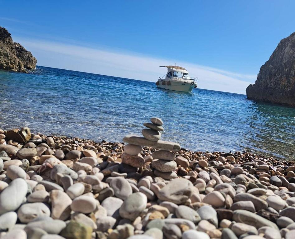 TopolicaRent a boat Montenegro UMA的海滩上的一堆岩石,在水中划船