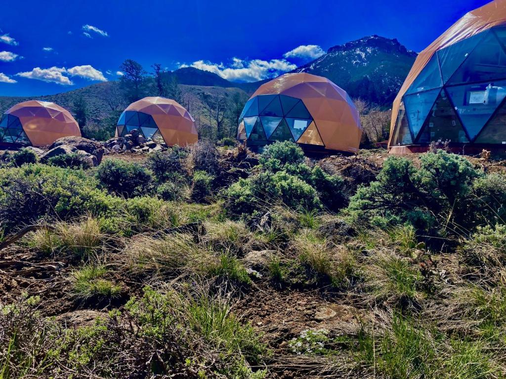 科迪Pure Heart Retreat的四座帐篷位于山地的田野中
