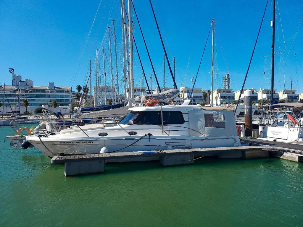 里斯本Private yacht, we love our guests的船停靠在水面上的码头