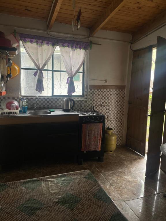楚伊Tres Lunas Alojamiento Doble的厨房设有水槽和窗户。