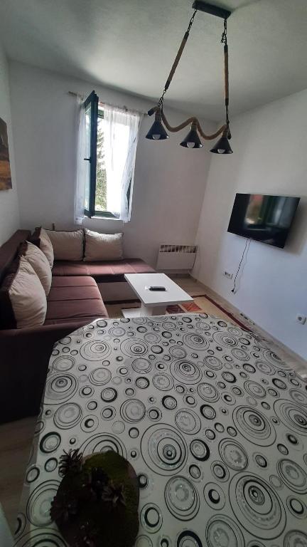 扎布利亚克Apartments Durmitor的客厅配有沙发和桌子